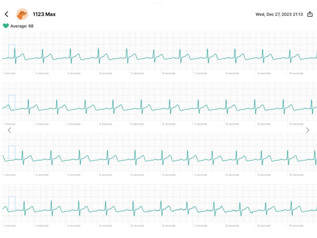 O'Pet Curv Veterinary Wireless ECG LinkVue